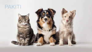 خطرات سمپاشی برای حیوانات خانگی